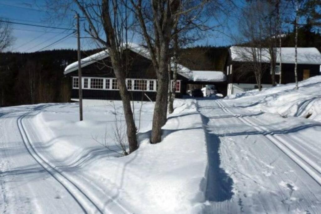 Hjartdal Fjellstoge & Storhytte photo 1