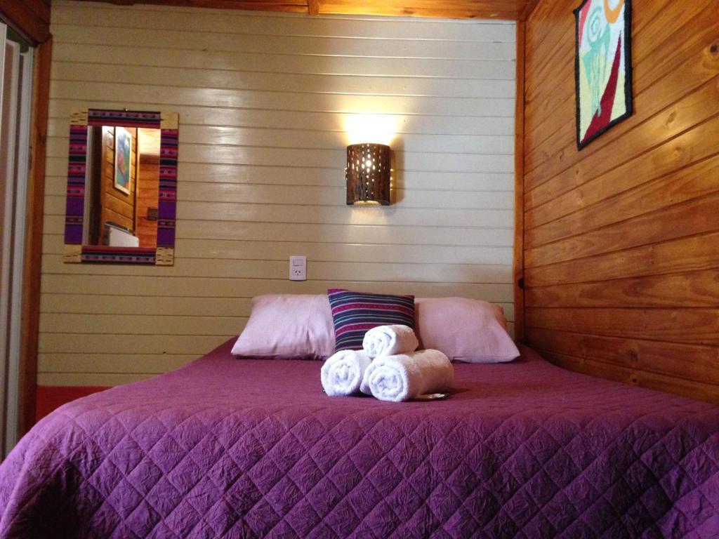 Hostal del Suri photo 3