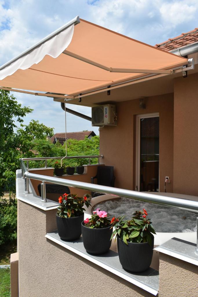 Vila Suncani Breg photo 2