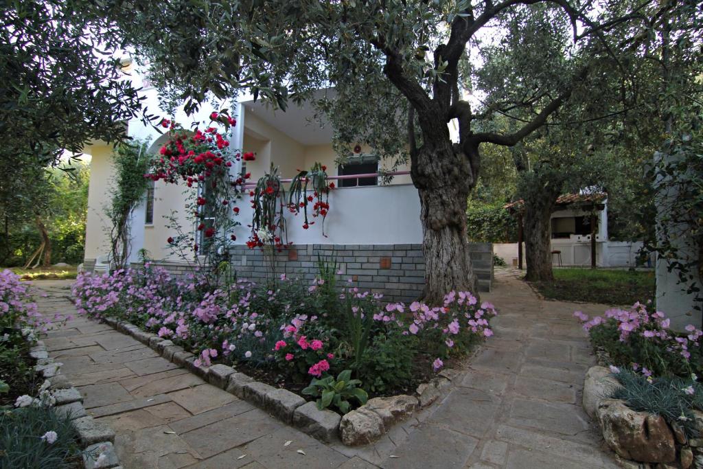 VILLA RELAX
