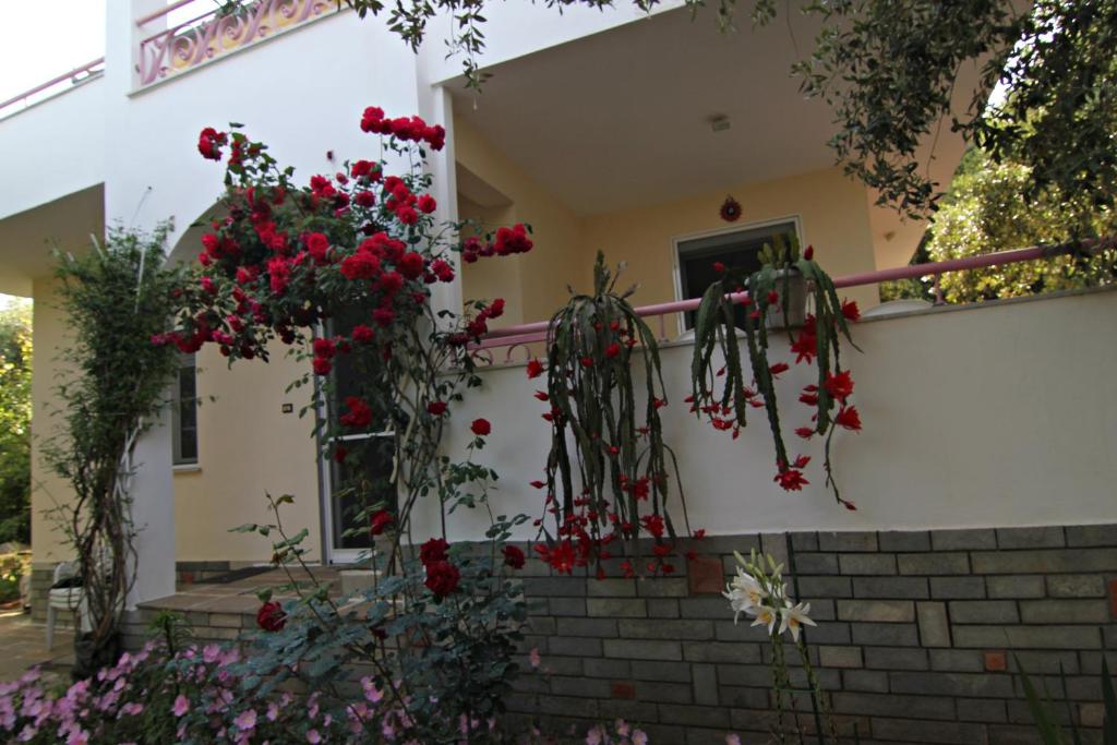 VILLA RELAX photo 1