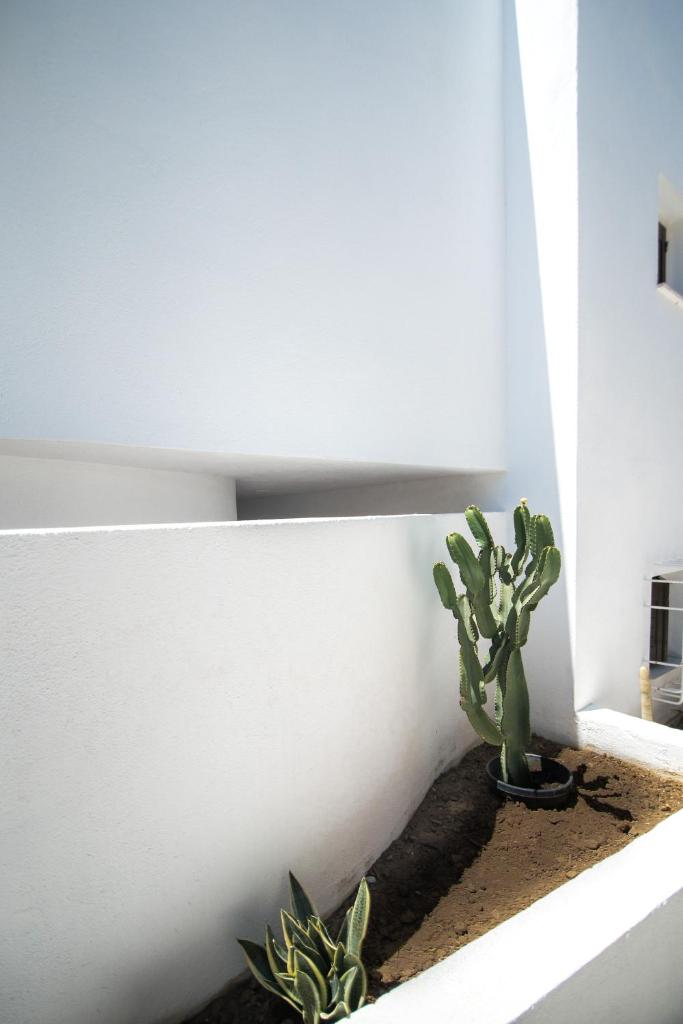 Lotos Beach Home photo 1