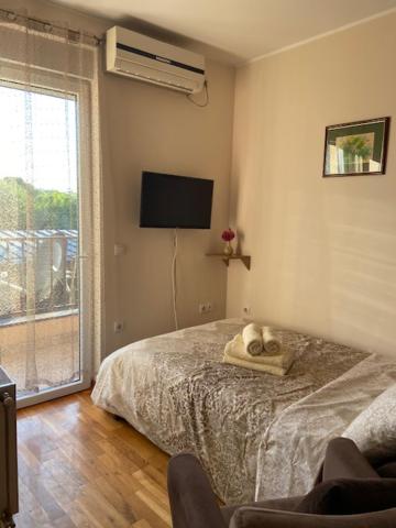 Lux Apartment Kotez photo 2