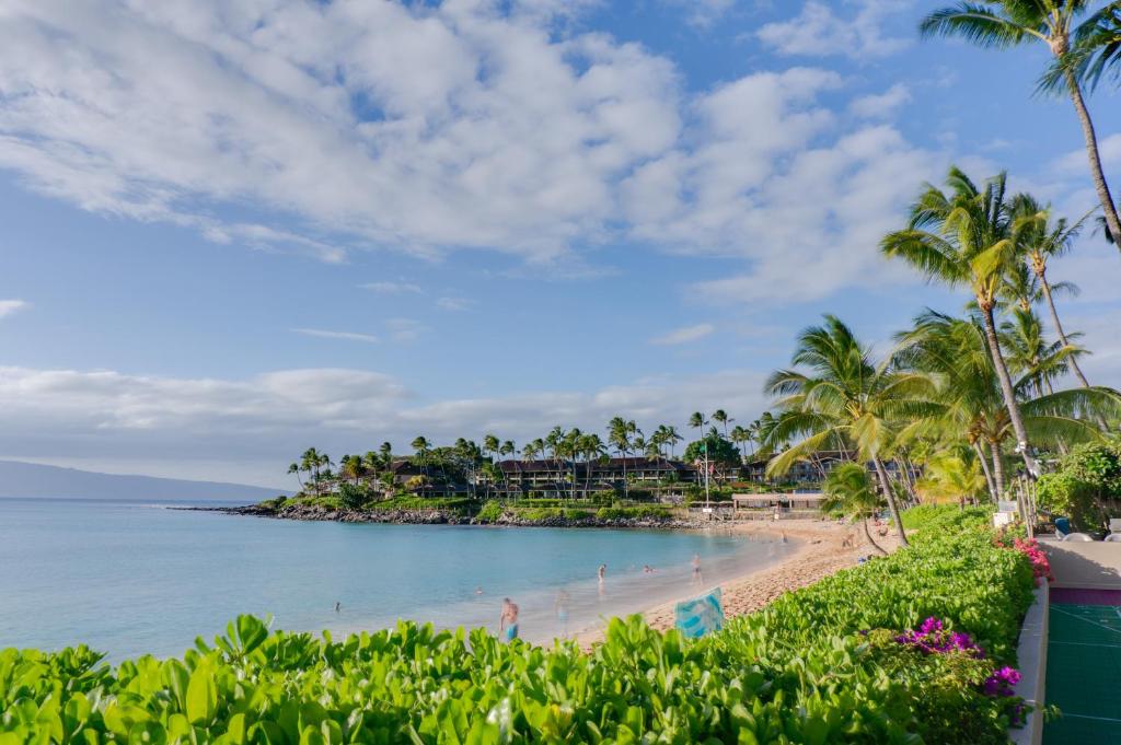 Hale Napili image