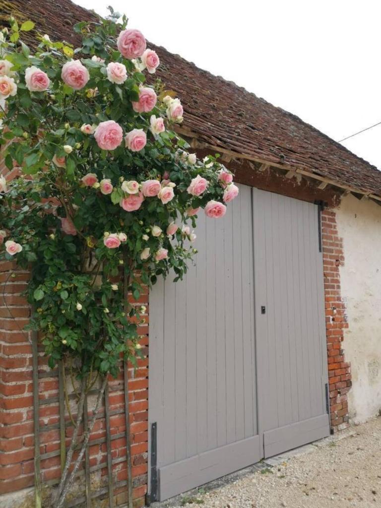 Beautiful 5-Bed House in Rilly-sur-Loire photo 2