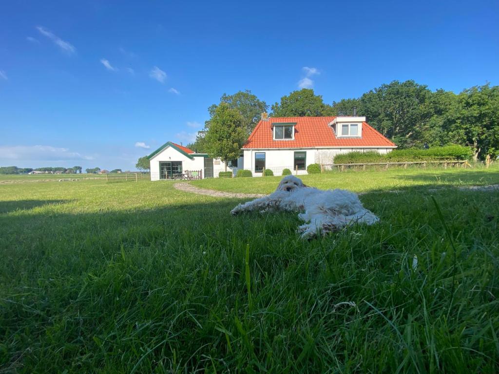 Heerlijk vakantiehuis aan het IJsselmeer photo 3