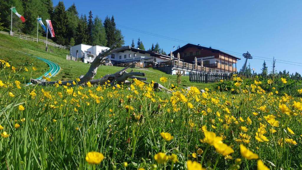Panorama Restaurant Sterzingerhaus 1.930m photo 1
