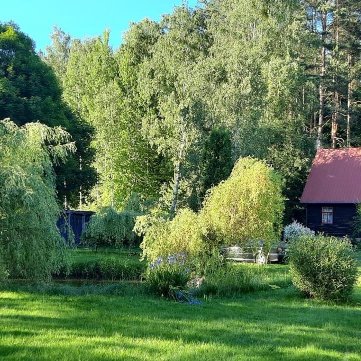 Klimatyczny domek blisko natury na Podlasiu - Wysokie Laski 9! photo 4