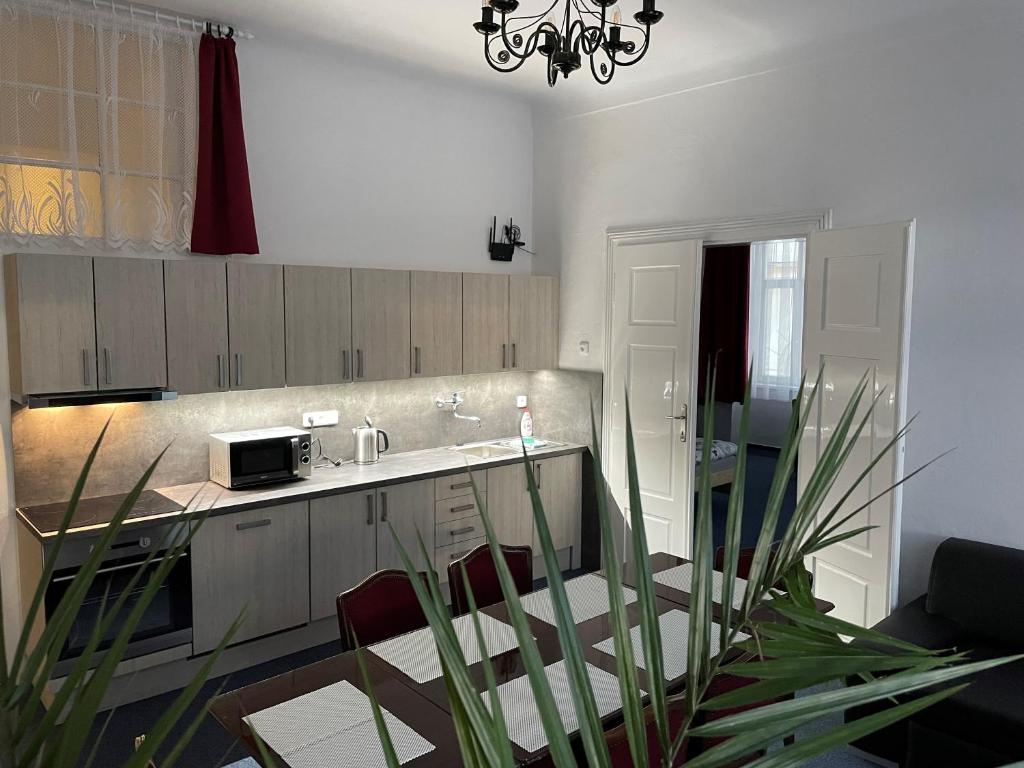 Apartmán Netolice 207 Deluxe photo 2