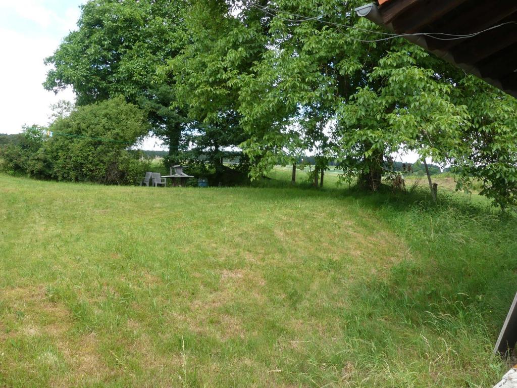Fewo Im gruenen Eck 2 photo 3
