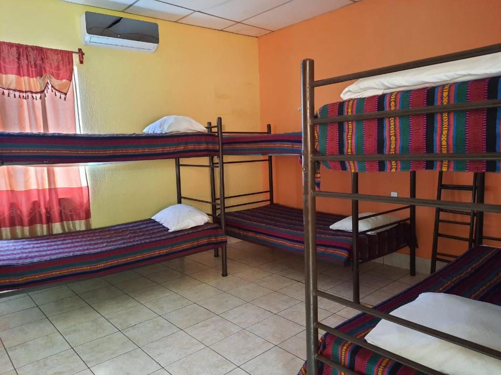 Green Monkey Hostel photo 4
