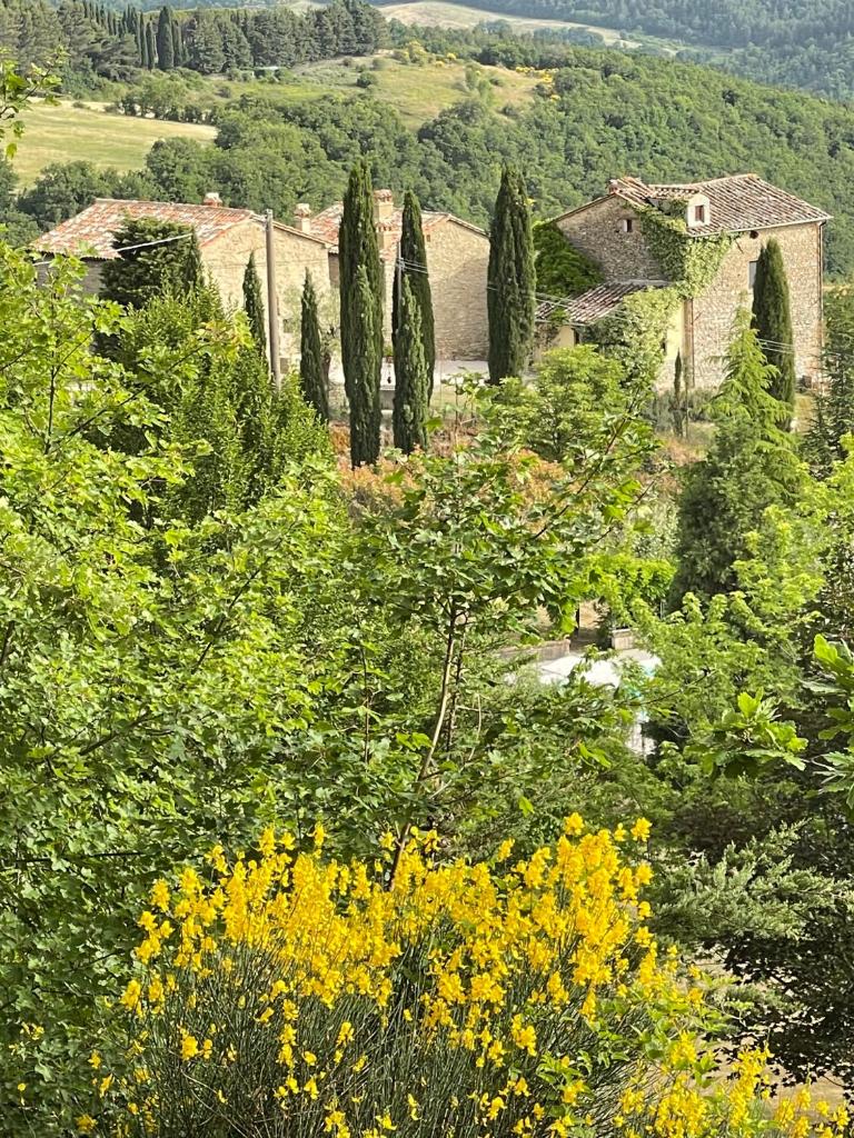 Country House Ca' di Nieri - The Saints' Lodge photo 2