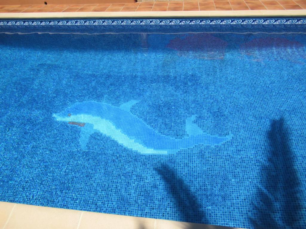 Villa Mimosa photo 3