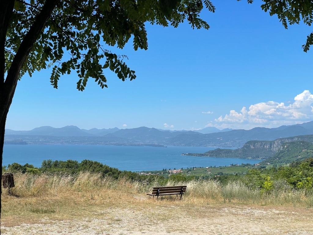BELVEDERE CERIEL photo 2