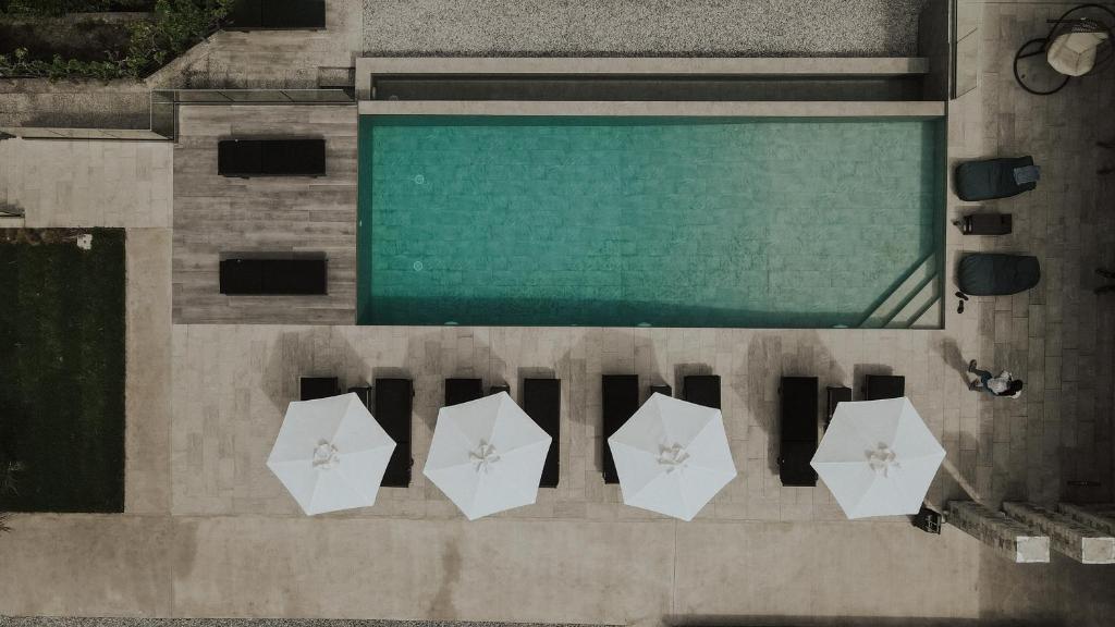Casa Costa Suites Plus photo 2