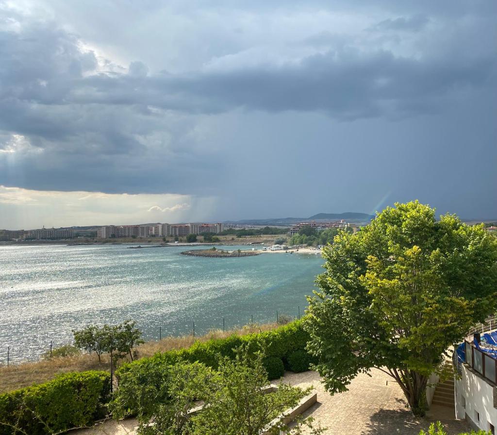Marina Cape Morie photo 2