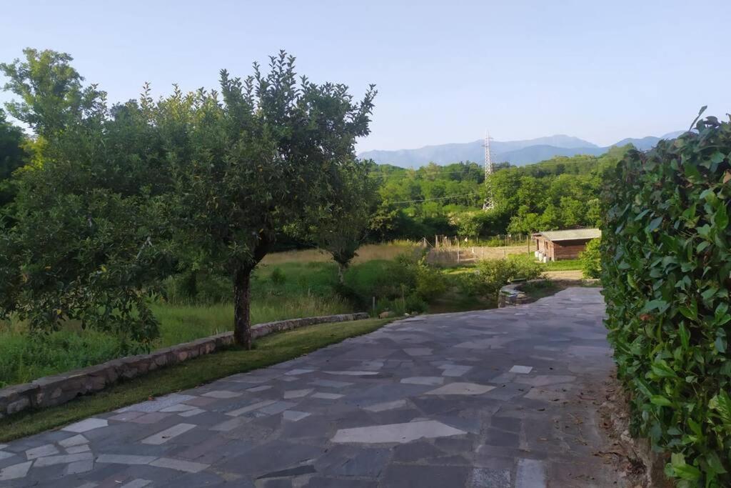 Appartamento nel verde tra Cinque Terre e Versilia photo 2