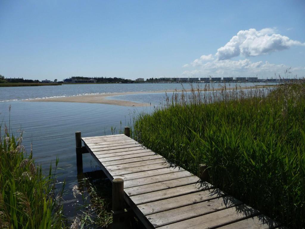 NTAB10105-FeWo-Moeoevwarder-fief photo 2