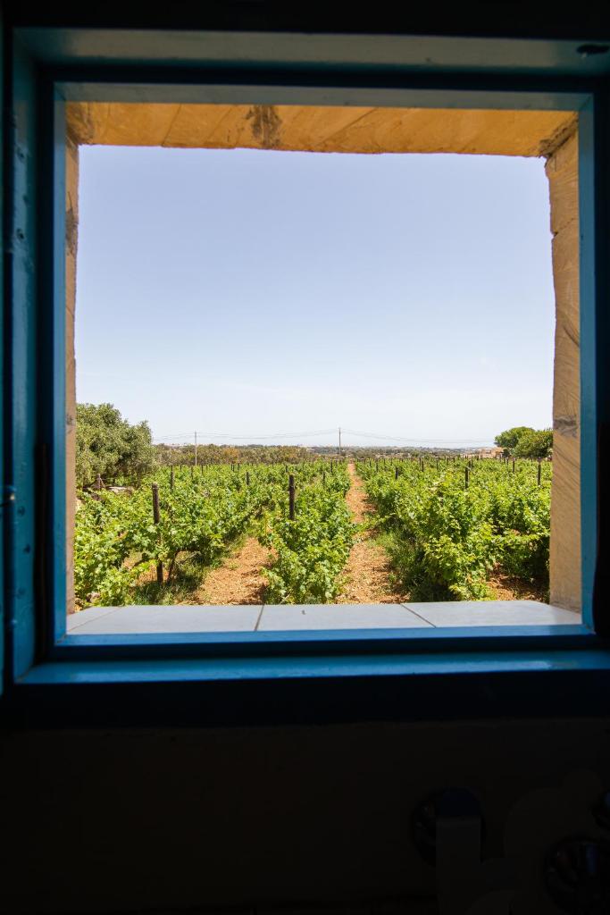 Ta' Bertu Host Family Bed & Breakfast photo 1