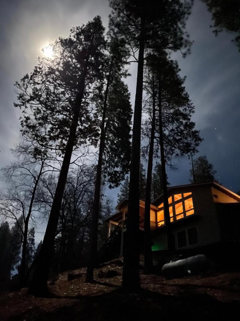 Cozy mountain retreat with lake views near Yosemite photo 1