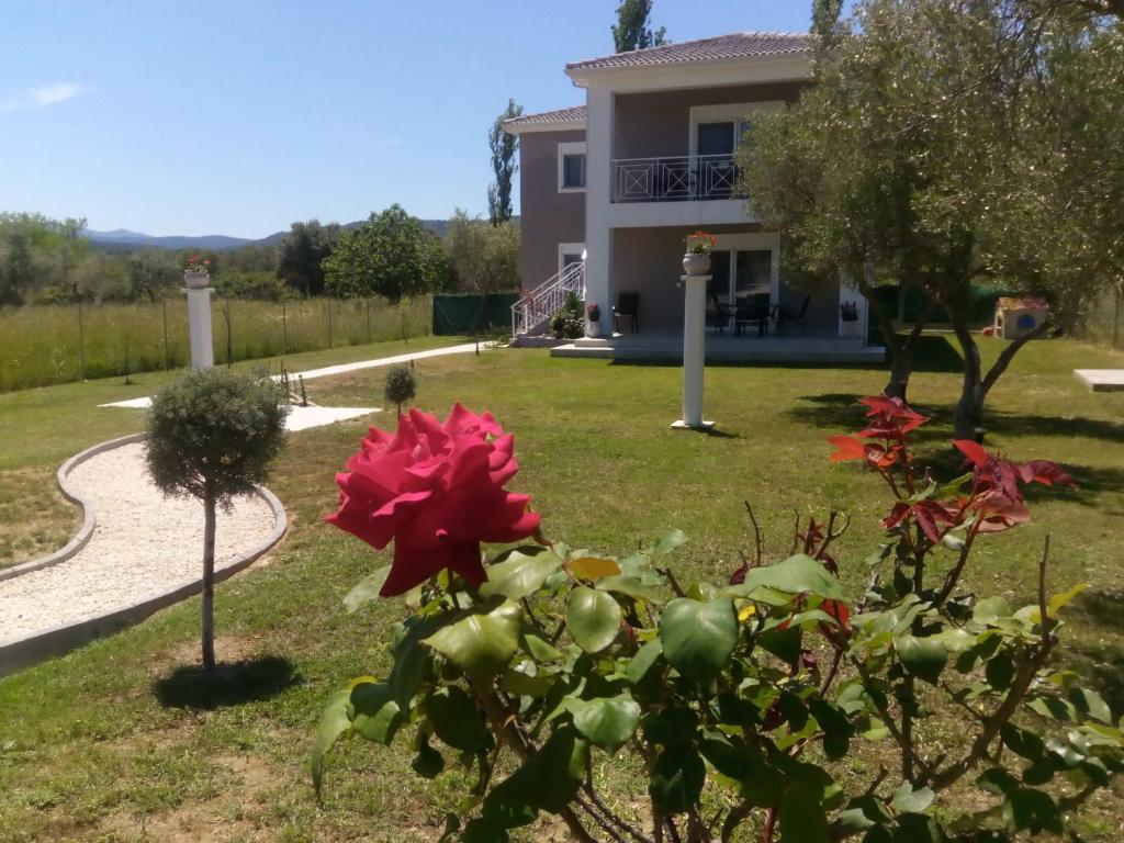 Elegant house photo 3