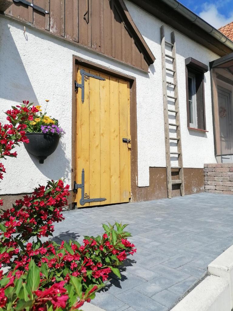 Harzhaus Ida photo 3