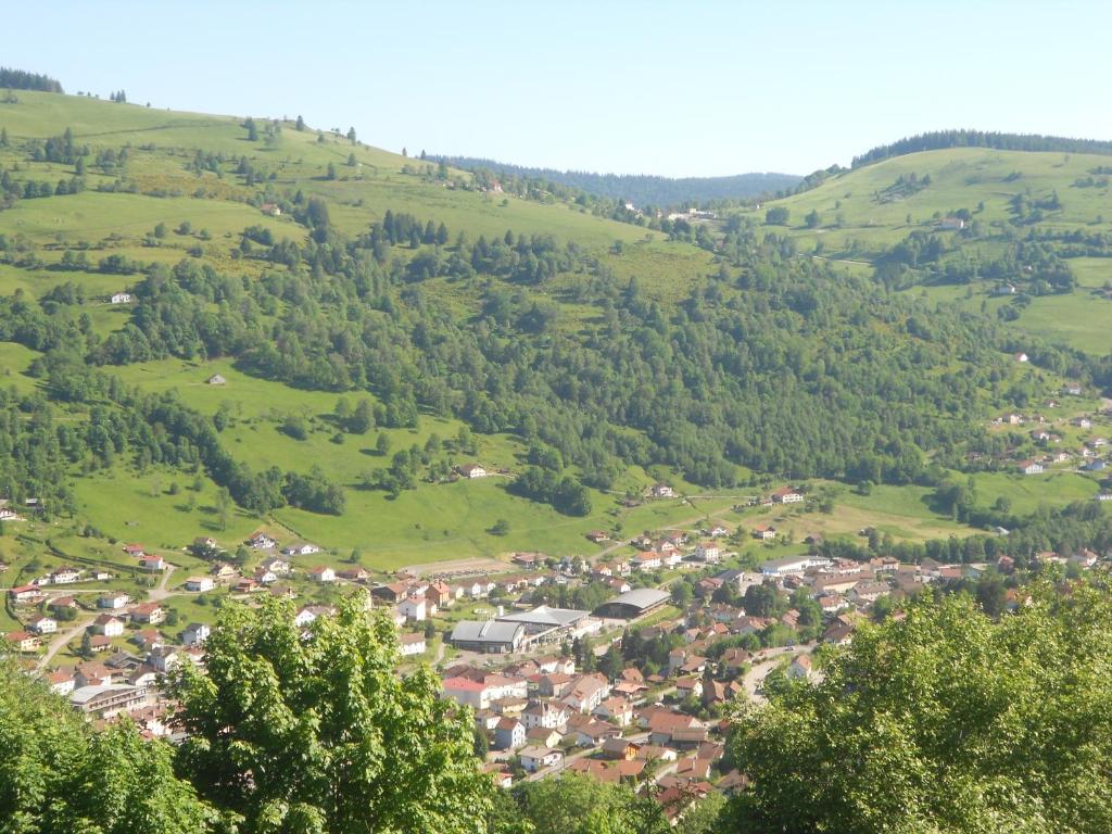 bouton d or photo 1