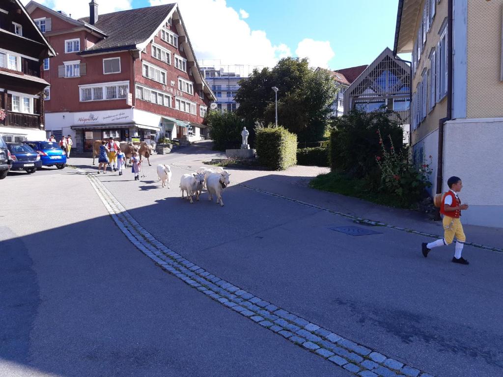 Gasthaus Gemsli - Tap to explore photos