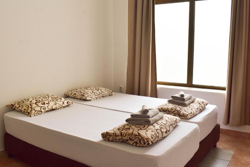 Apartmani Petra Sabac photo 1