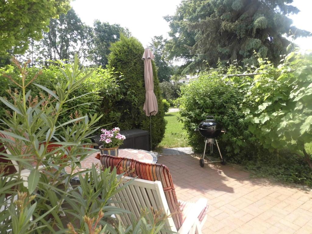 Möwe photo 2