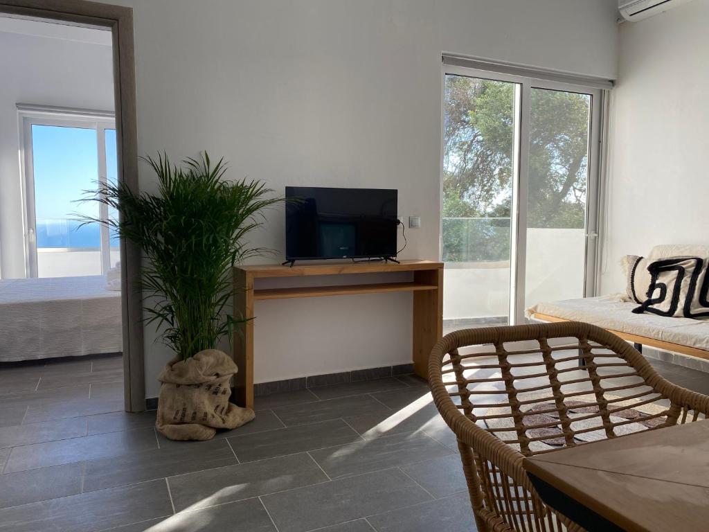 Villa Ioanna oliveproject photo 2