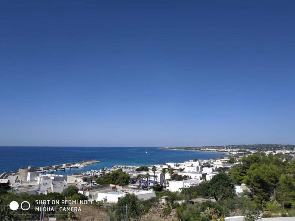 Antonella House photo 1