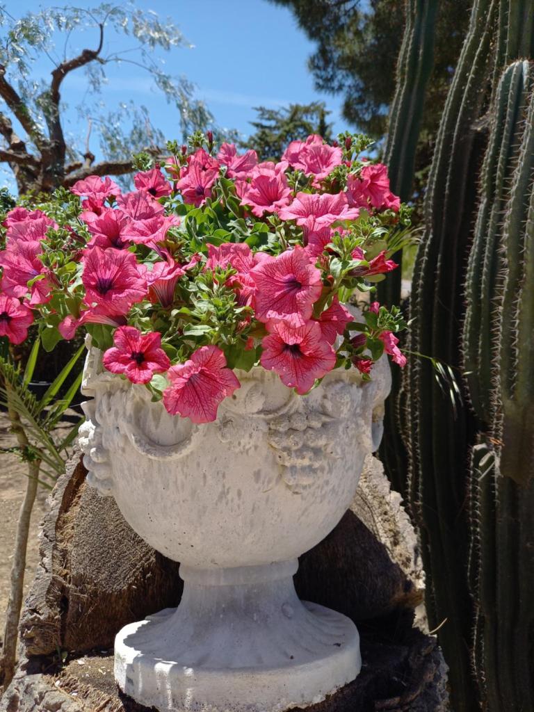 Casolare del Toscano Country Rooms photo 2