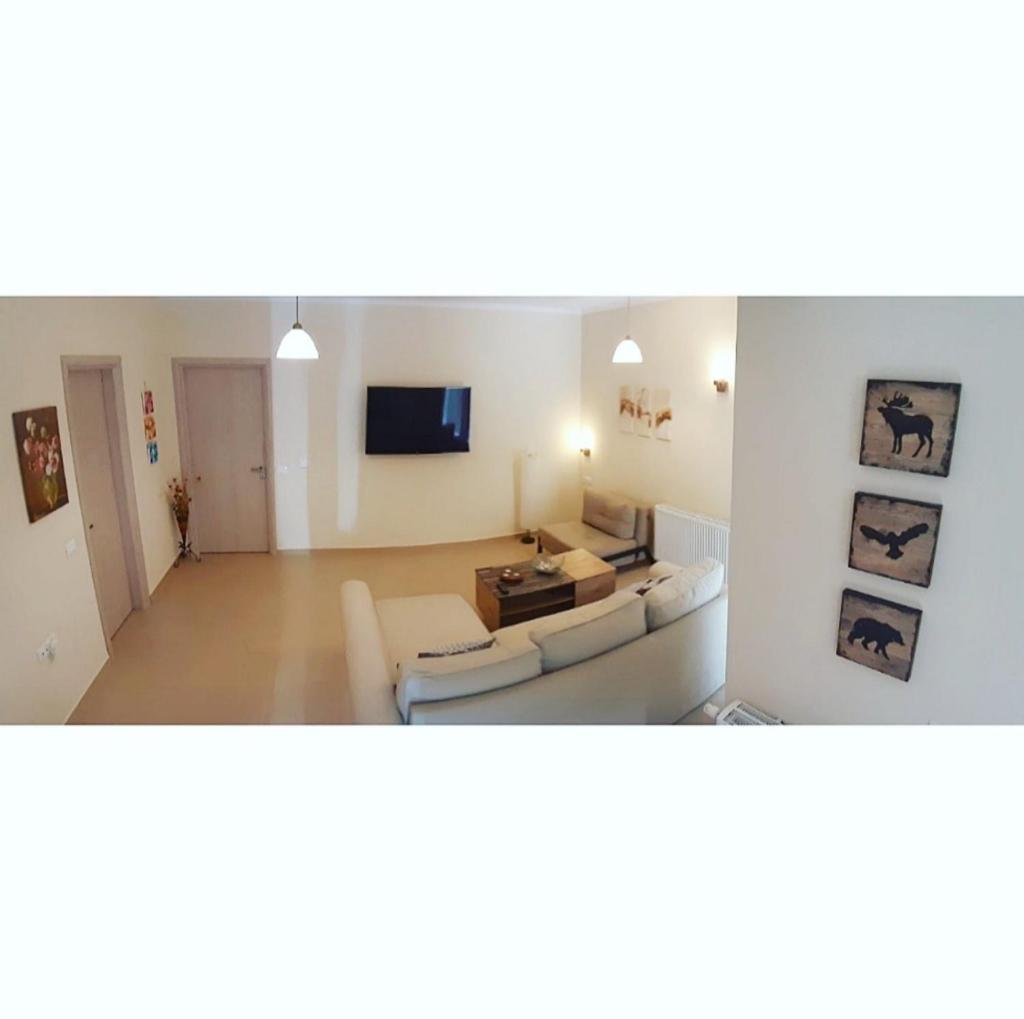 Green View Apartment photo 3