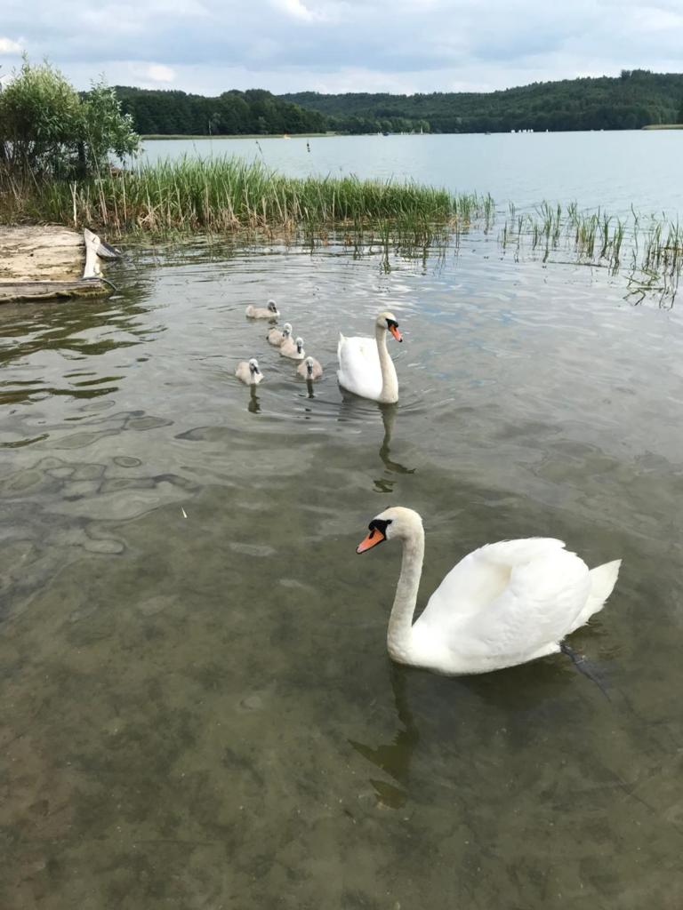 Kaszubskie Apartamenty nad jeziorem photo 2