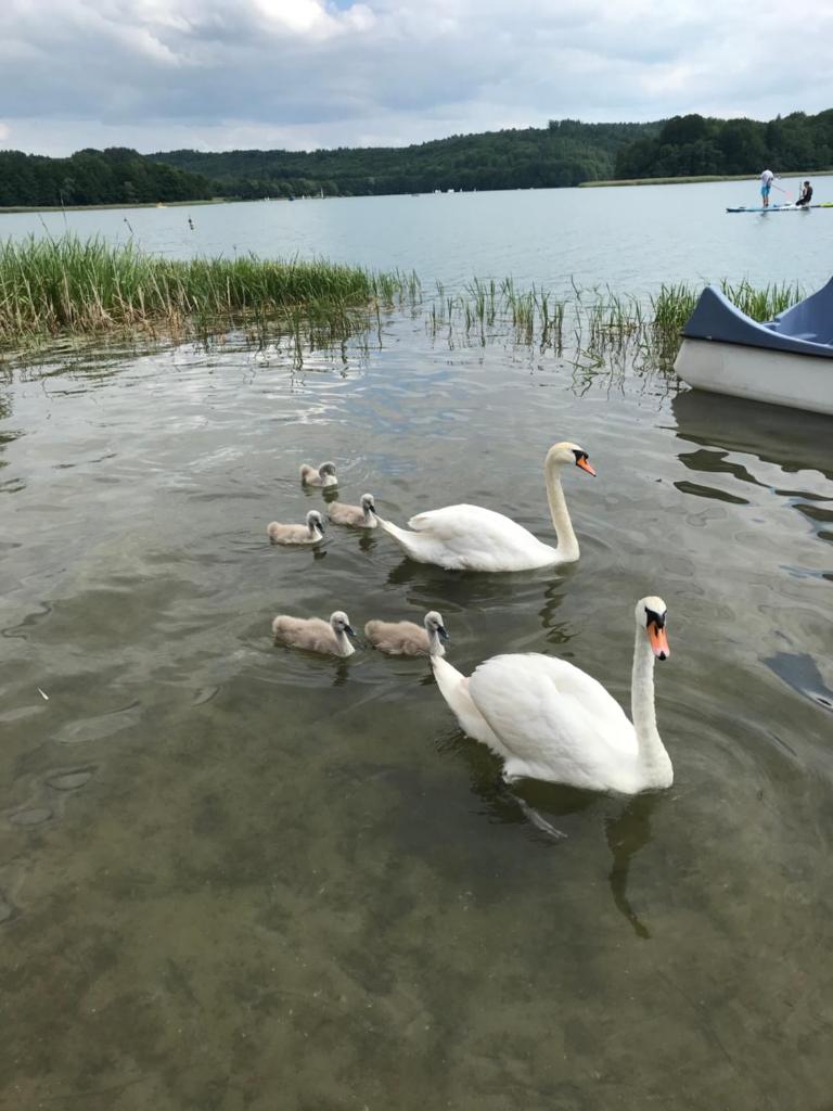 Kaszubskie Apartamenty nad jeziorem photo 1