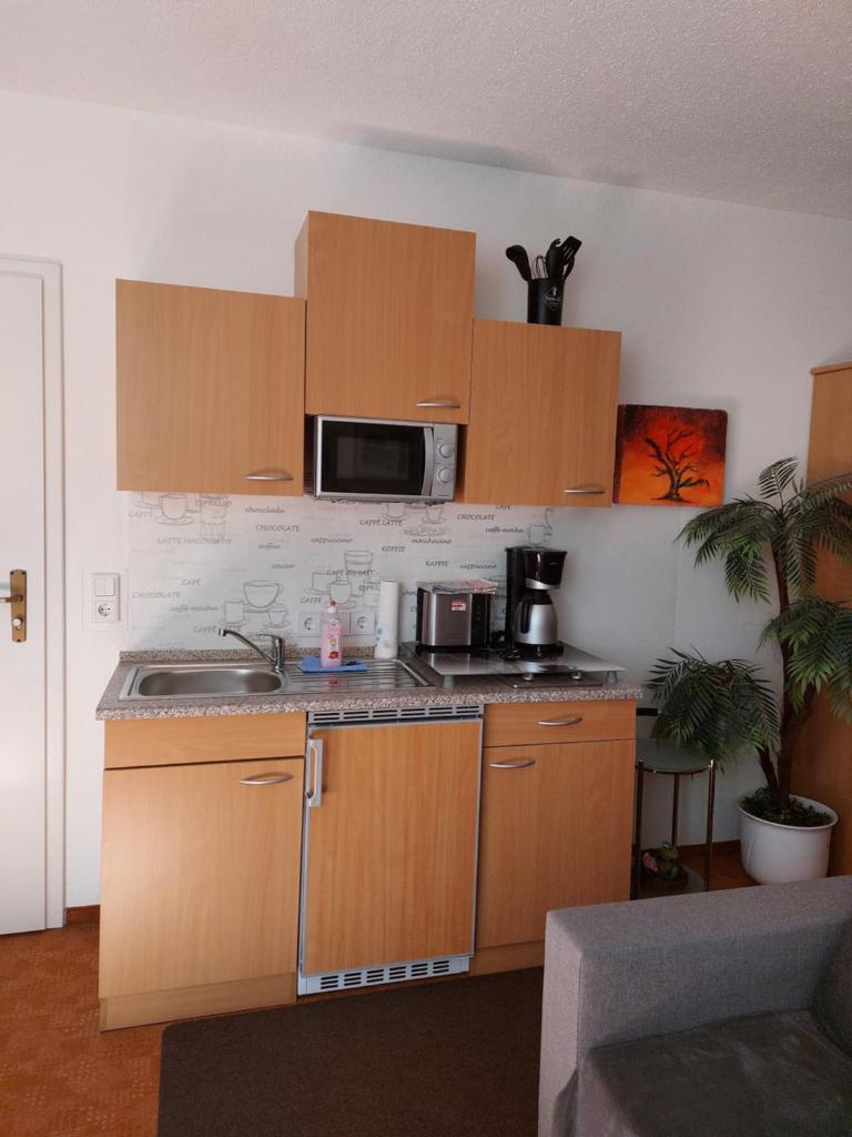 Apartment Blütenstadt Werder im Souterraine photo 4