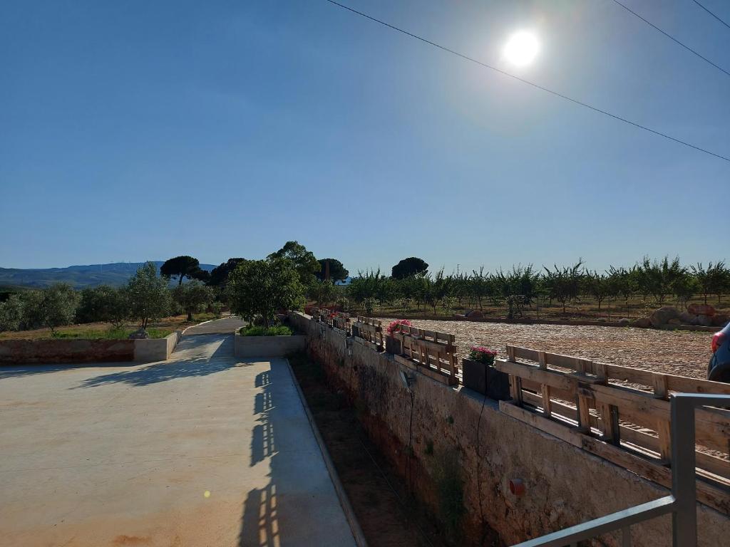 Eralta photo 3
