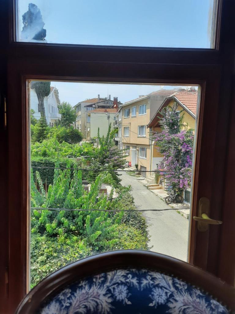 Manzaraada Merkez photo 3
