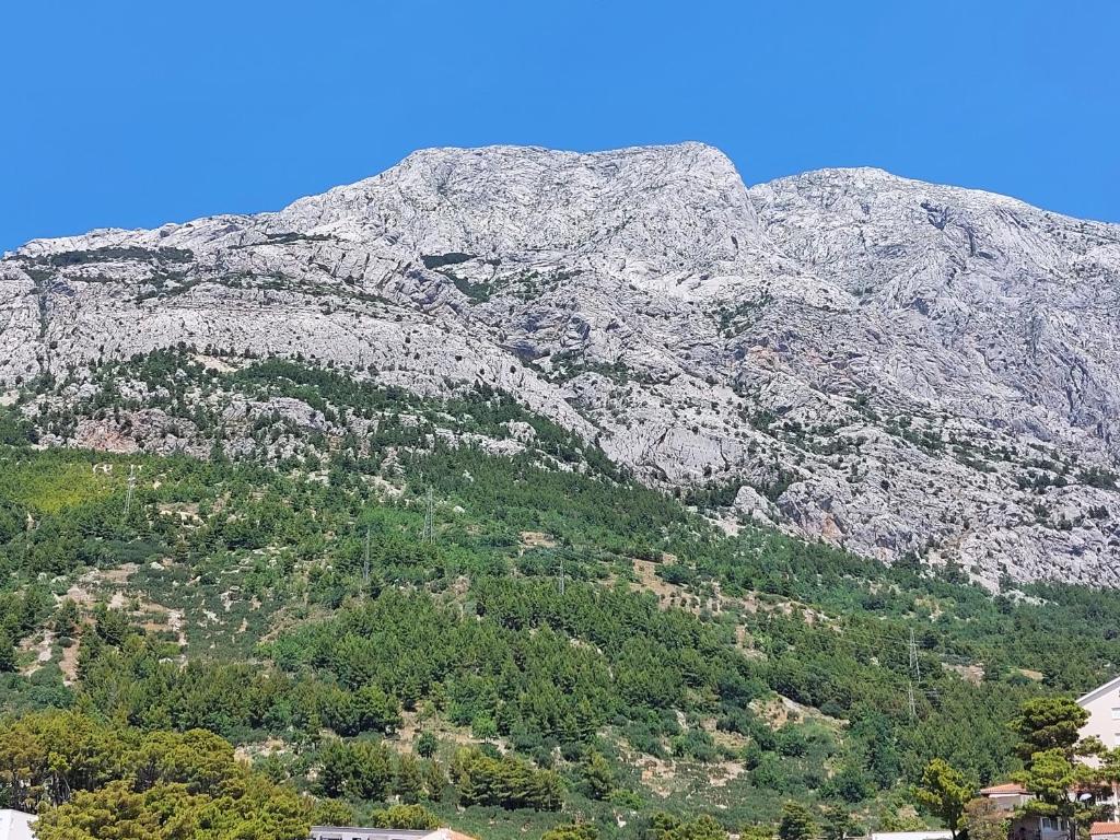 Apartmani Zuzana,Baška Voda photo 4