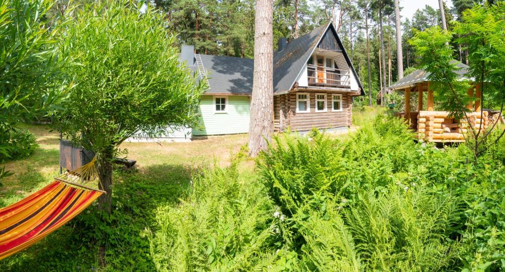 Nature Guest House photo 3