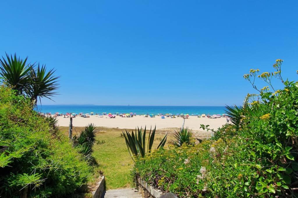 Bolonia Beach Campus - Tap to explore photos