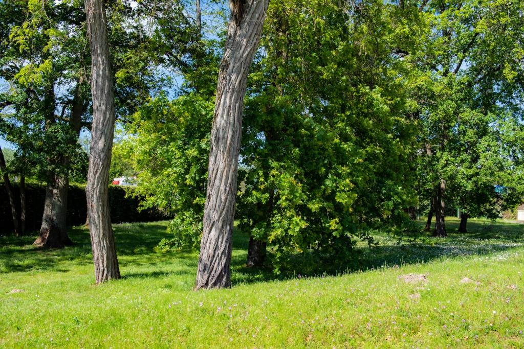 Demeures de Campagne Chemins de Sologne à Orléans (Demeures de Campagne Chemins de Sologne a Orleans) - F&B