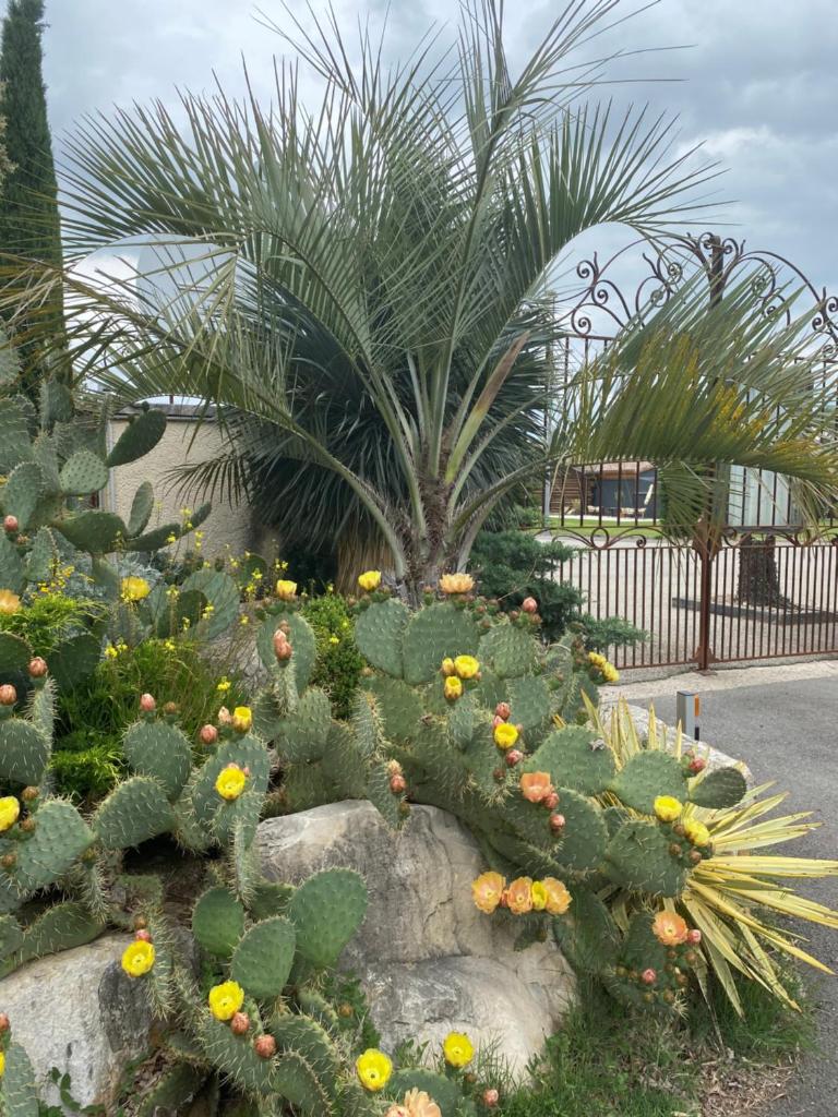 HOTEL NATURE LE LOFT - 디럭스 퀸룸 - 퀸침대 2개