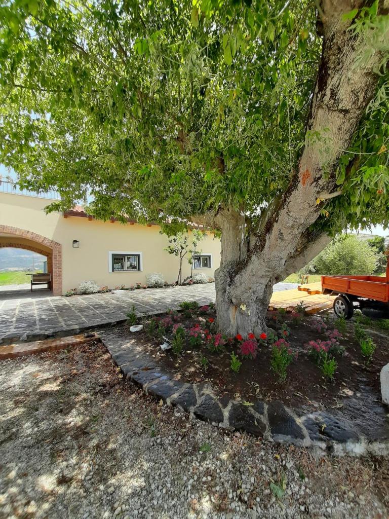 B&B Tenuta San Michele photo 1