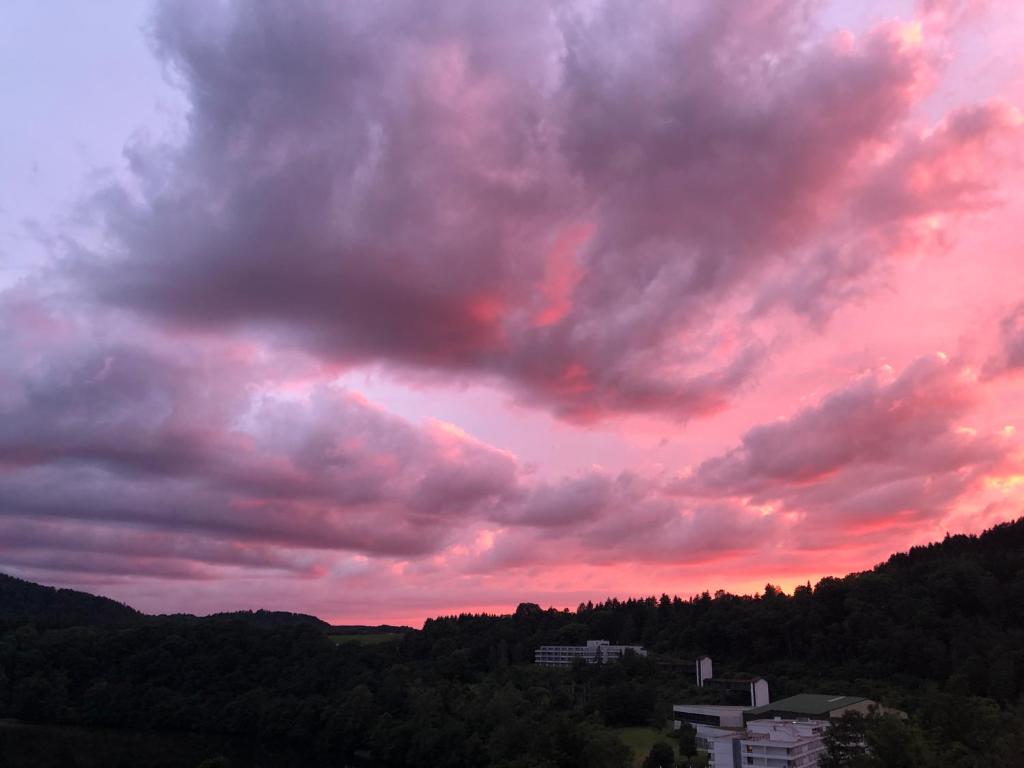 Hotel Berghof photo 4