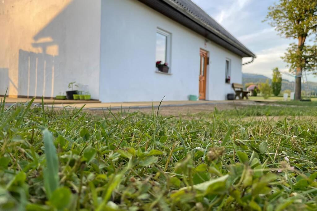 Grandma's House photo 1