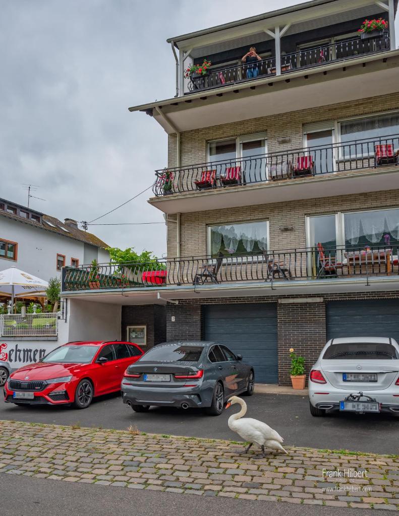 Ferienhaus An der Mosel photo 4