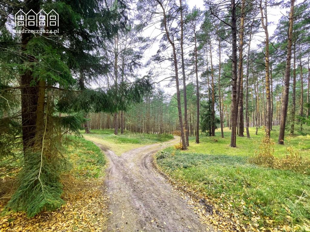 Apartamenty Nadrzeczna24 photo 3