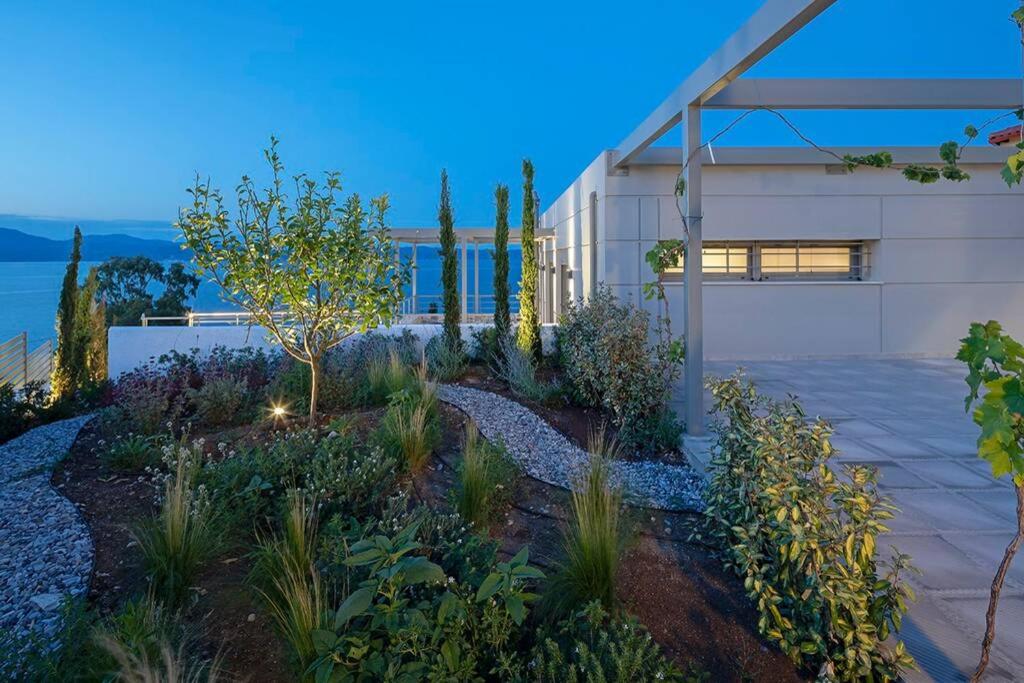 Villa Theologos photo 4